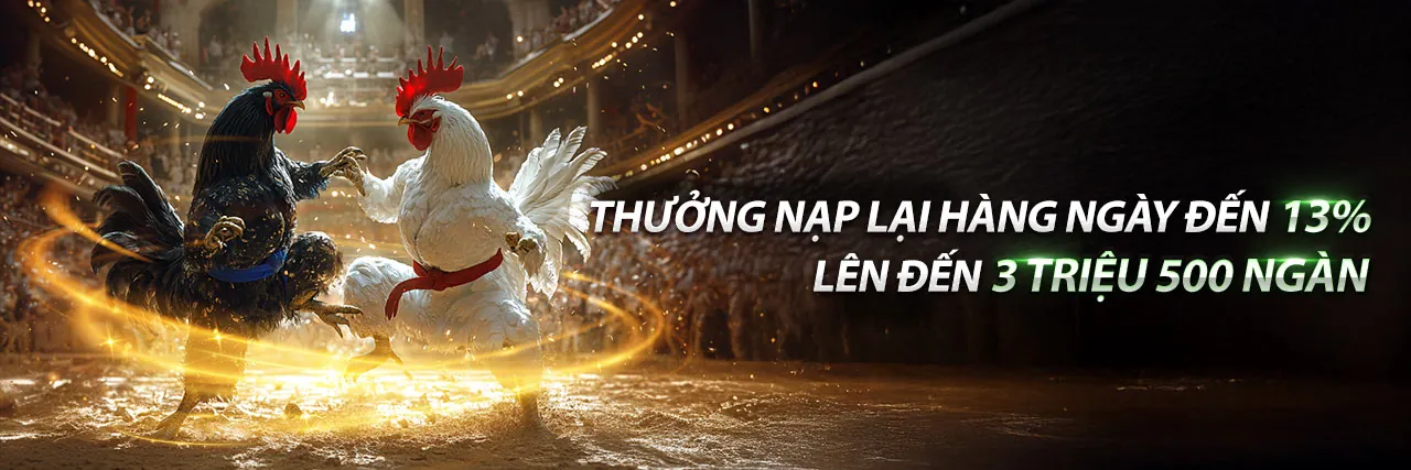 Đấu trường đá gà f8bet01 sôi động